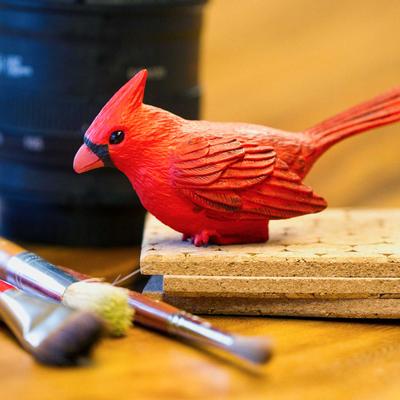 Show full view: Safari Ltd. Cardinal Figurine slide 5 of 6