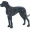 Show in main carousel: Safari Ltd. Great Dane Figurine slide 1 of 7