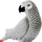 Show in main carousel: Safari Ltd. African Gray Parrot slide 5 of 6