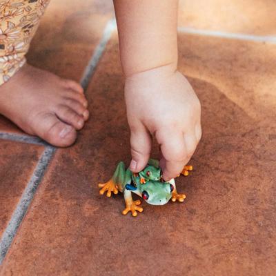 Show full view: Safari Ltd. Red-Eyed Tree Frog slide 5 of 6