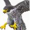 Show in main carousel: Safari Ltd. Peregrine Falcon slide 5 of 7
