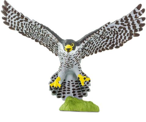 Show full view: Safari Ltd. Peregrine Falcon slide 2 of 7