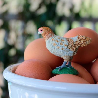 Show full view: Safari Ltd. Ameraucana Chicken slide 6 of 6