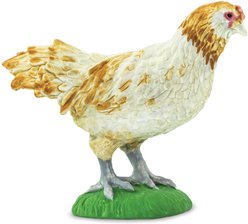 Safari Ltd. Ameraucana Chicken