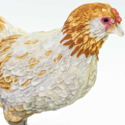 Show full view: Safari Ltd. Ameraucana Chicken slide 4 of 6