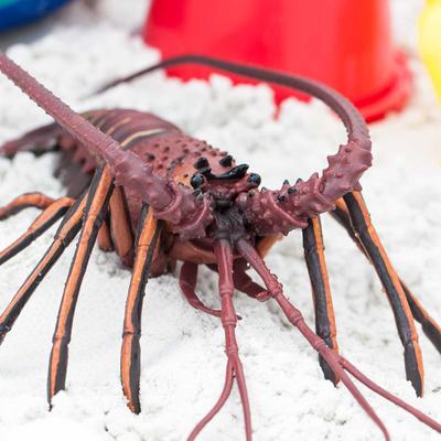 Show full view: Safari Ltd. Spiny Lobster slide 6 of 6