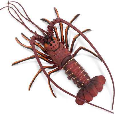 Show full view: Safari Ltd. Spiny Lobster slide 3 of 6