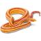 Show in main carousel: Safari Ltd. Corn Snake slide 1 of 6