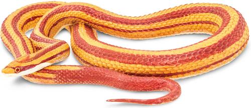 Show full view: Safari Ltd. Corn Snake slide 3 of 6