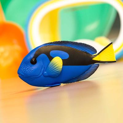 Show full view: Safari Ltd. Blue Tang Figurine slide 5 of 5
