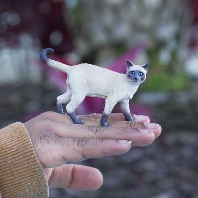 Show full view: Safari Ltd. Siamese Cat slide 6 of 6