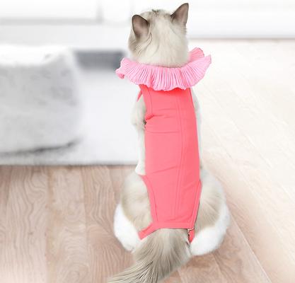 Show full view: Happy & Polly Cat Recovery Suit, Pink, Medium slide 6 of 10