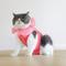 Show in main carousel: Happy & Polly Cat Recovery Suit, Pink, Medium slide 5 of 10