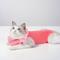 Show in main carousel: Happy & Polly Cat Recovery Suit, Pink, Medium slide 4 of 10