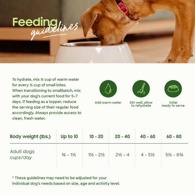 Show full view: Smallbatch Pets Freeze-Dried Chicken Small Bites Dog Food, 1-oz bag slide 6 of 7