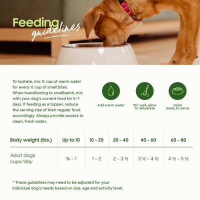 Show full view: Smallbatch Pets Freeze-Dried Turkey Small Bites Dog Food, 20-oz bag slide 6 of 9