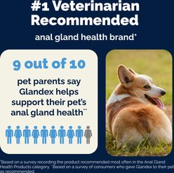 Vetnique Labs Glandex Daily Prebiotic & Probiotic Digestive Aid Powder Supplement for Dogs, 4.25-oz jar slide 2 of 9