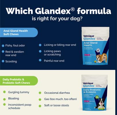 Show full view: Vetnique Labs Glandex Daily Prebiotic & Probiotic Digestive Aid Powder Supplement for Dogs, 8.5-oz jar slide 9 of 11
