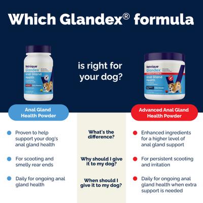 Show full view: Vetnique Labs Glandex Advanced Vet Duck & Bacon Flavor Strength Anal Gland Powder Supplement for Dogs, 8.5-oz jar slide 8 of 11