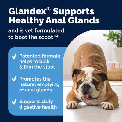 Show full view: Vetnique Labs Glandex Advanced Vet Duck & Bacon Flavor Strength Anal Gland Powder Supplement for Dogs, 8.5-oz jar slide 4 of 11