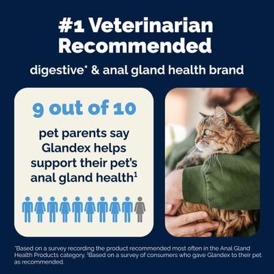 Show full view: Vetnique Labs Glandex Feline Daily Prebiotic & Probiotic Digestive Aid Powder Supplement for Cats, 4-oz jar slide 9 of 11