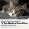 Show in main carousel: Vetnique Labs Glandex Feline Daily Prebiotic & Probiotic Digestive Aid Powder Supplement for Cats, 4-oz jar slide 5 of 11