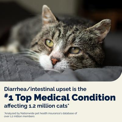 Show full view: Vetnique Labs Glandex Feline Daily Prebiotic & Probiotic Digestive Aid Powder Supplement for Cats, 4-oz jar slide 5 of 11