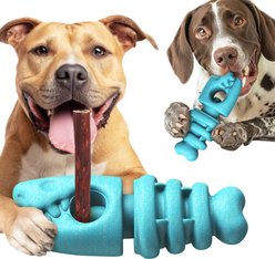 KADTC 2 IN 1 Durable Fish Bone Bully Stick Holder & Dog Chew Toy, Blue, Large