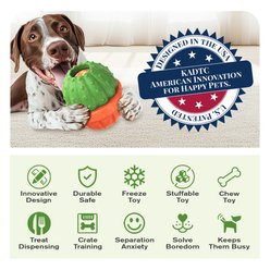 KADTC ALl IN ONE 3 in 1 Cactus Fillable Freeze Enrichment Dog Treat Dispenser Chew Toy, Green, Large slide 2 of 6