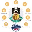 Show in main carousel: KADTC ALl IN ONE 3 in 1 Walnut Fillable Freeze Enrichment Dog Treat Dispenser Chew Toy, Brown, Large slide 2 of 7