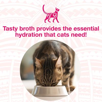 Show full view: KOHA Pure Shreds Variety Pack Grain-Free Wet Cat Food, 2.8-oz can, case of 12 slide 7 of 9