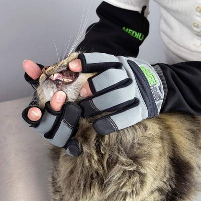 Show full view: ArmOR Hand Procedure-Palpation Dog & Cat Grooming Gloves, Small slide 2 of 9