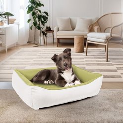 Sherry Kline Pet Collection Cuddler Sunbrella Indoor/Outdoor Dog Bed, Natural / Kiwi, 20 x 26 x 3-in slide 2 of 2
