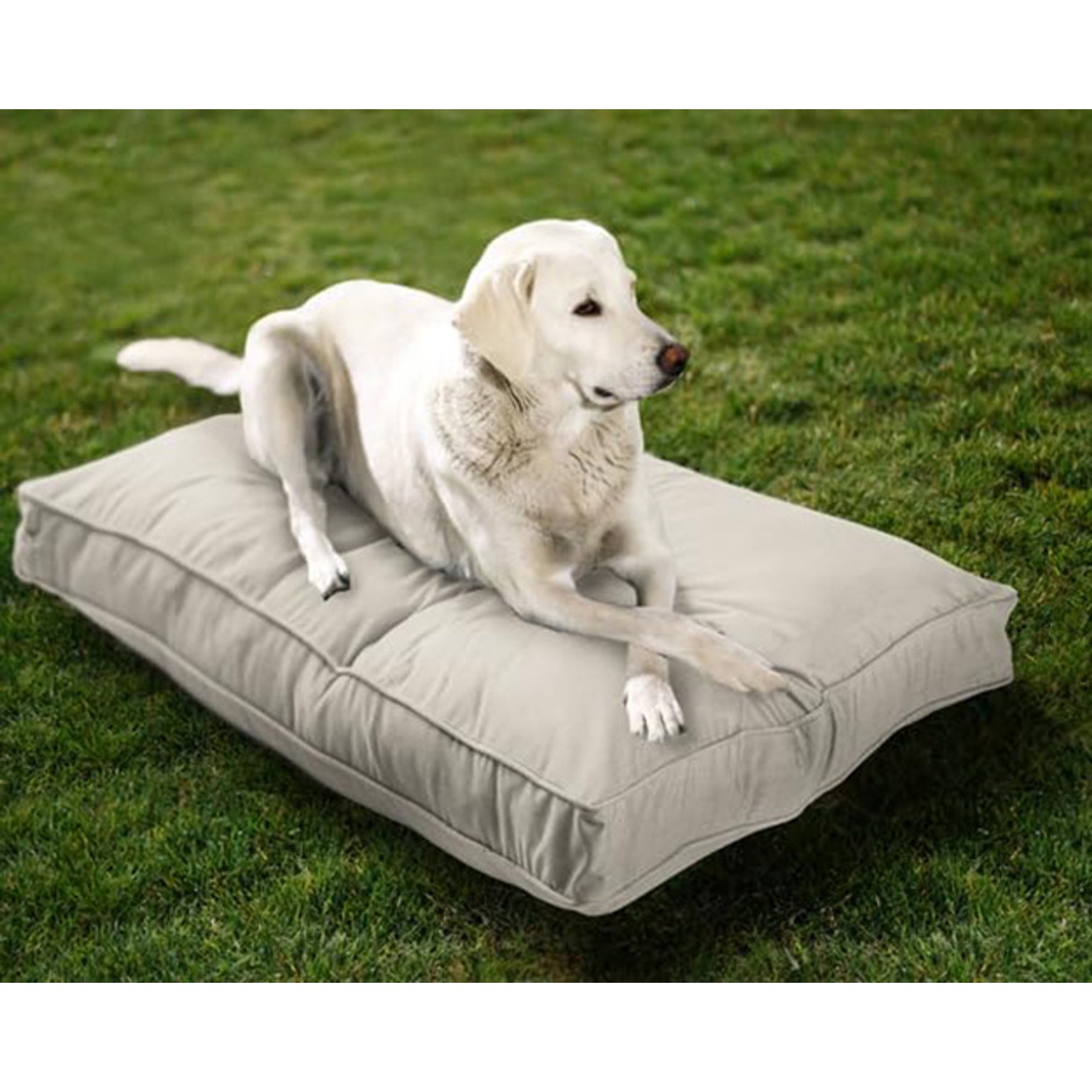 Sherry Kline Pet Collection Mattress Sunbrella Indoor/Outdoor Dog Bed, Eggshell, 20 x 26 x 3-in