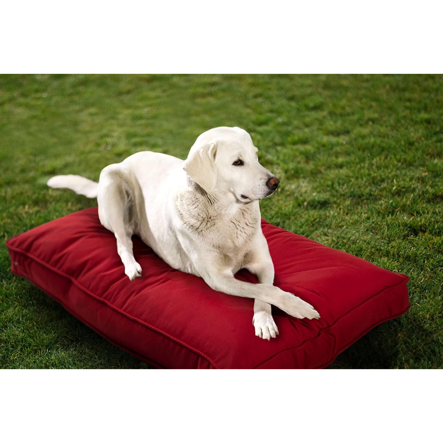 Sherry Kline Pet Collection Mattress Sunbrella Indoor/Outdoor Dog Bed, Cherry Red, 42 x 54 x 5-in