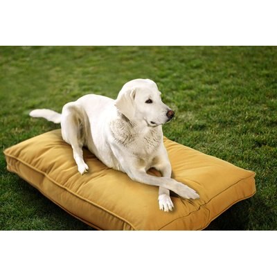 Sherry Kline Pet Collection Sherry Kline Pet Collection Mattress Sunbrella Indoor/Outdoor Dog Bed, Daffodil, 26 x 36 x 4-in