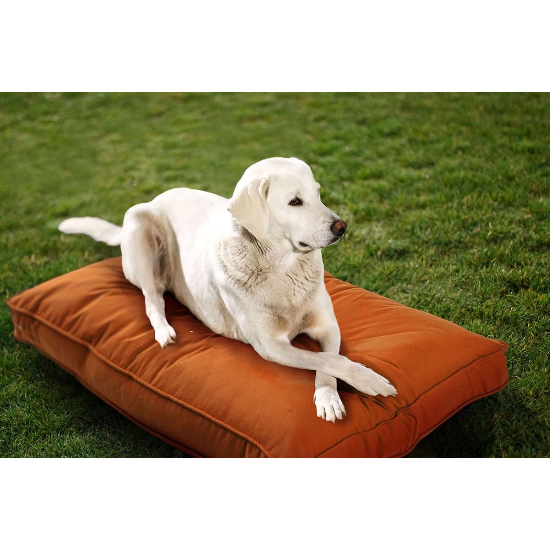 Sherry Kline Pet Collection Mattress Sunbrella Indoor/Outdoor Dog Bed, Cayenne, 26 x 36 x 4-in