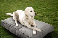 Sherry Kline Pet Collection Mattress Sunbrella Indoor/Outdoor Dog Bed, Dove Grey, 20 x 26 x 3-in