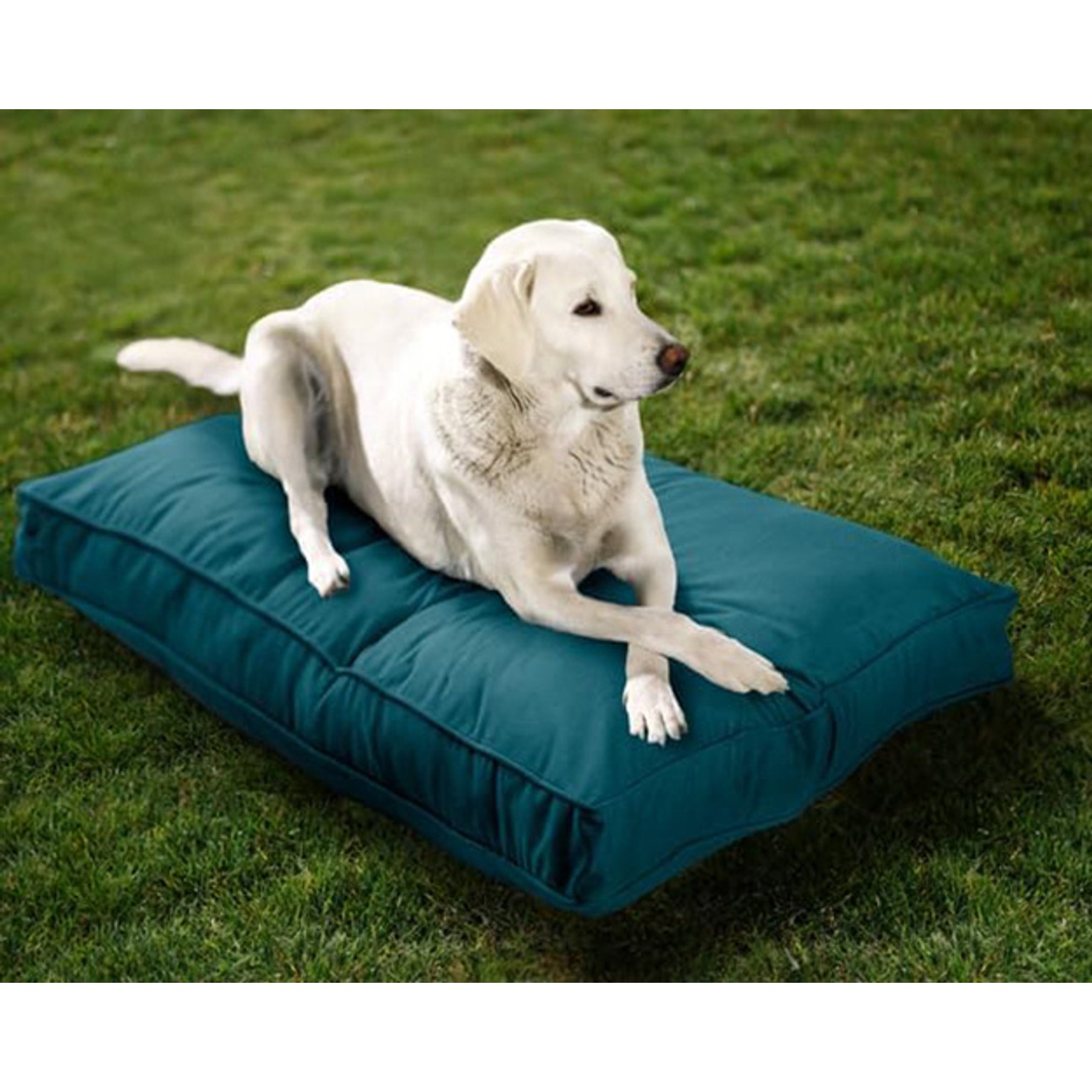Sherry Kline Pet Collection Mattress Sunbrella Indoor/Outdoor Dog Bed, Peacock Blue, 20 x 26 x 3-in