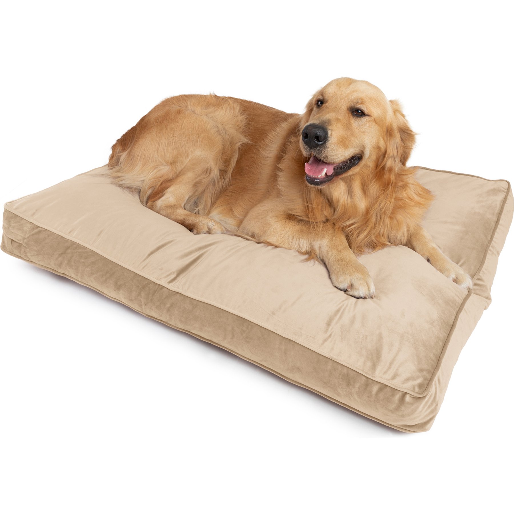 Sherry Kline Pet Collection Velvet Reversible & Cord Dog Bed, Tan, 26 x 36 x 4-in