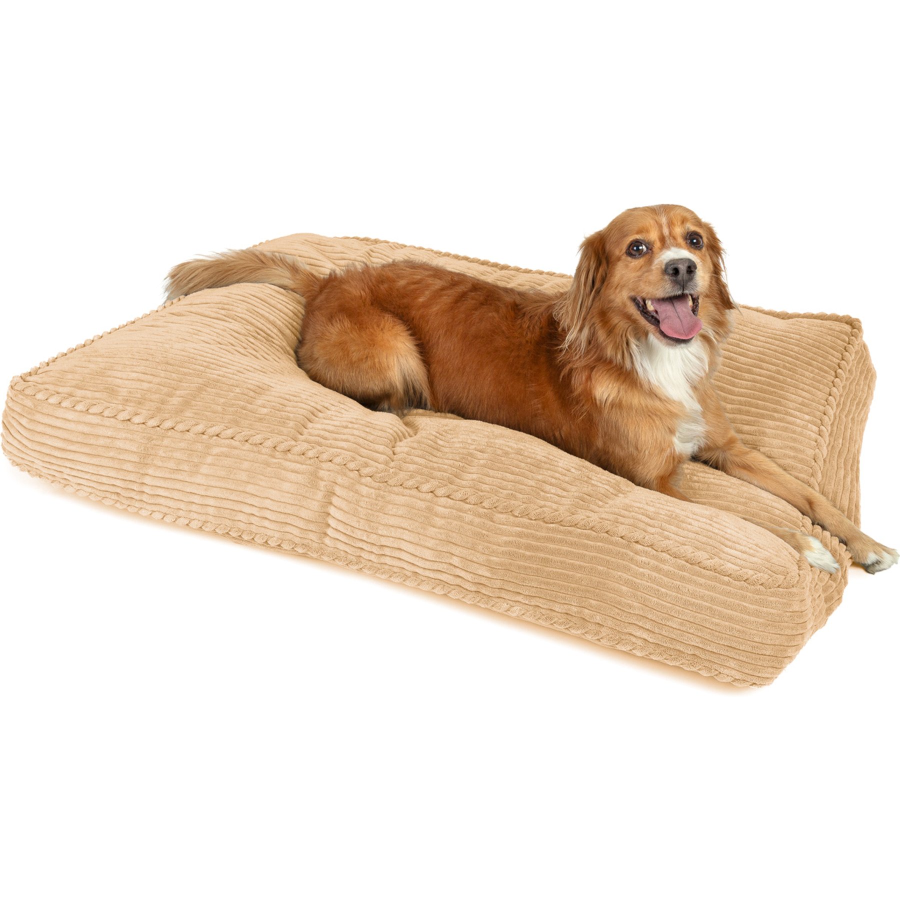 Sherry Kline Pet Collection Corduroy Rectangle Dog Bed, Gold, 42 x 54 x 5-in
