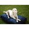 Show in main carousel: Sherry Kline Pet Collection Mattress Sunbrella Indoor/Outdoor Dog Bed, Indigo, 20 x 26 x 3-in slide 1 of 1