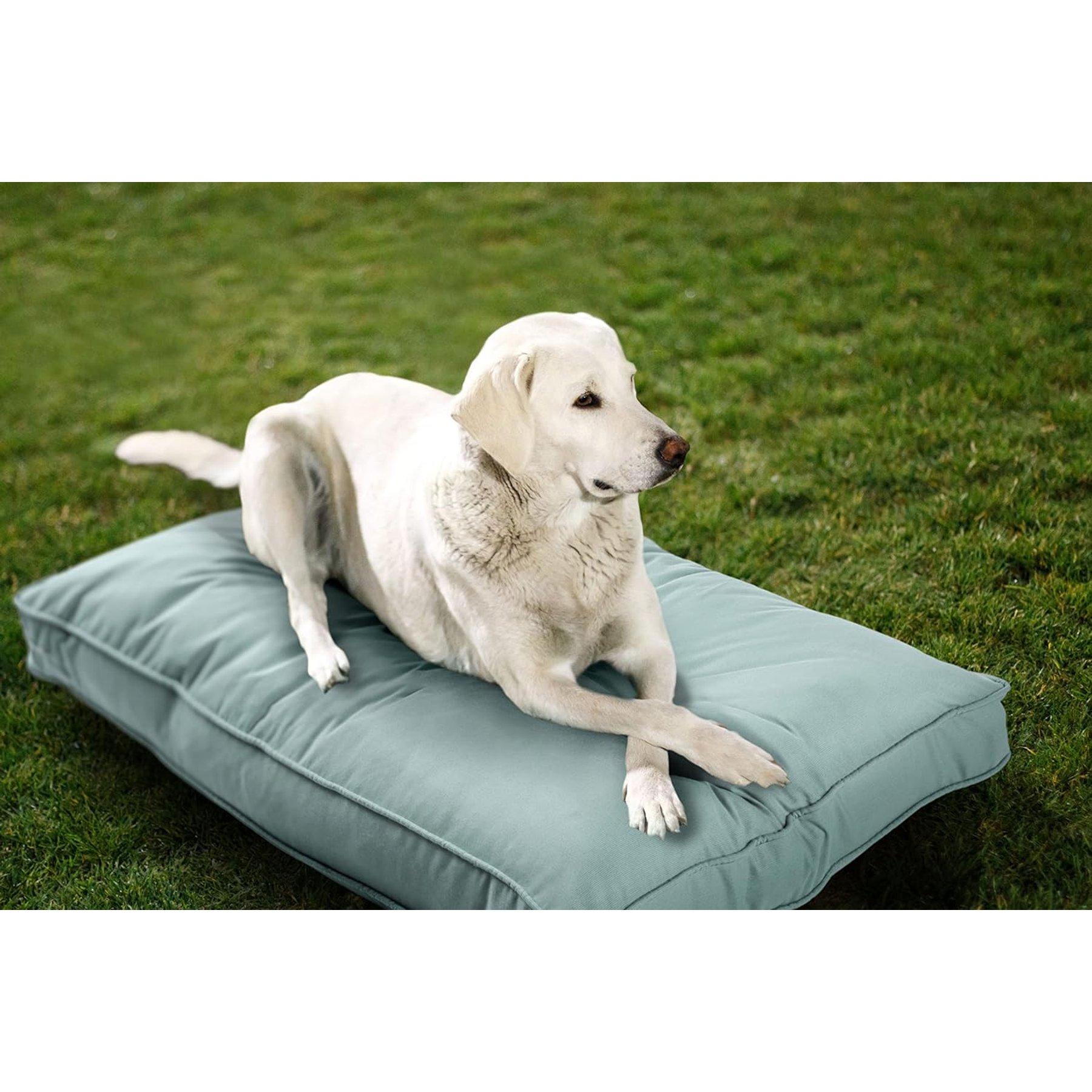 Sherry Kline Pet Collection Mattress Sunbrella Indoor/Outdoor Dog Bed, Mist, 20 x 26 x 3-in