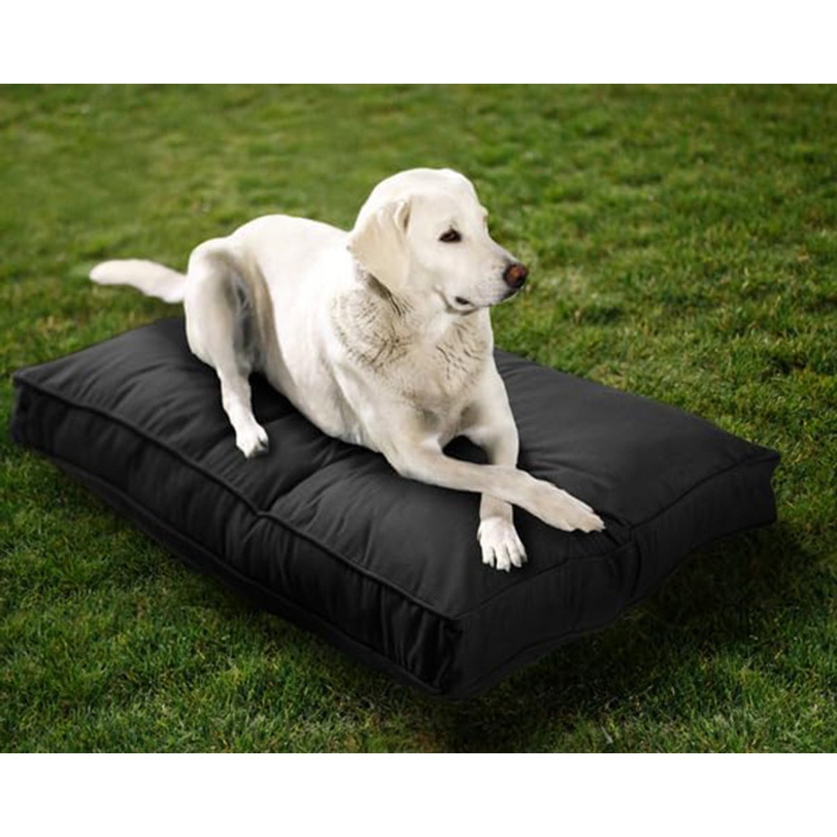 Sherry Kline Pet Collection Mattress Sunbrella Indoor/Outdoor Dog Bed, Black, 26 x 36 x 4-in