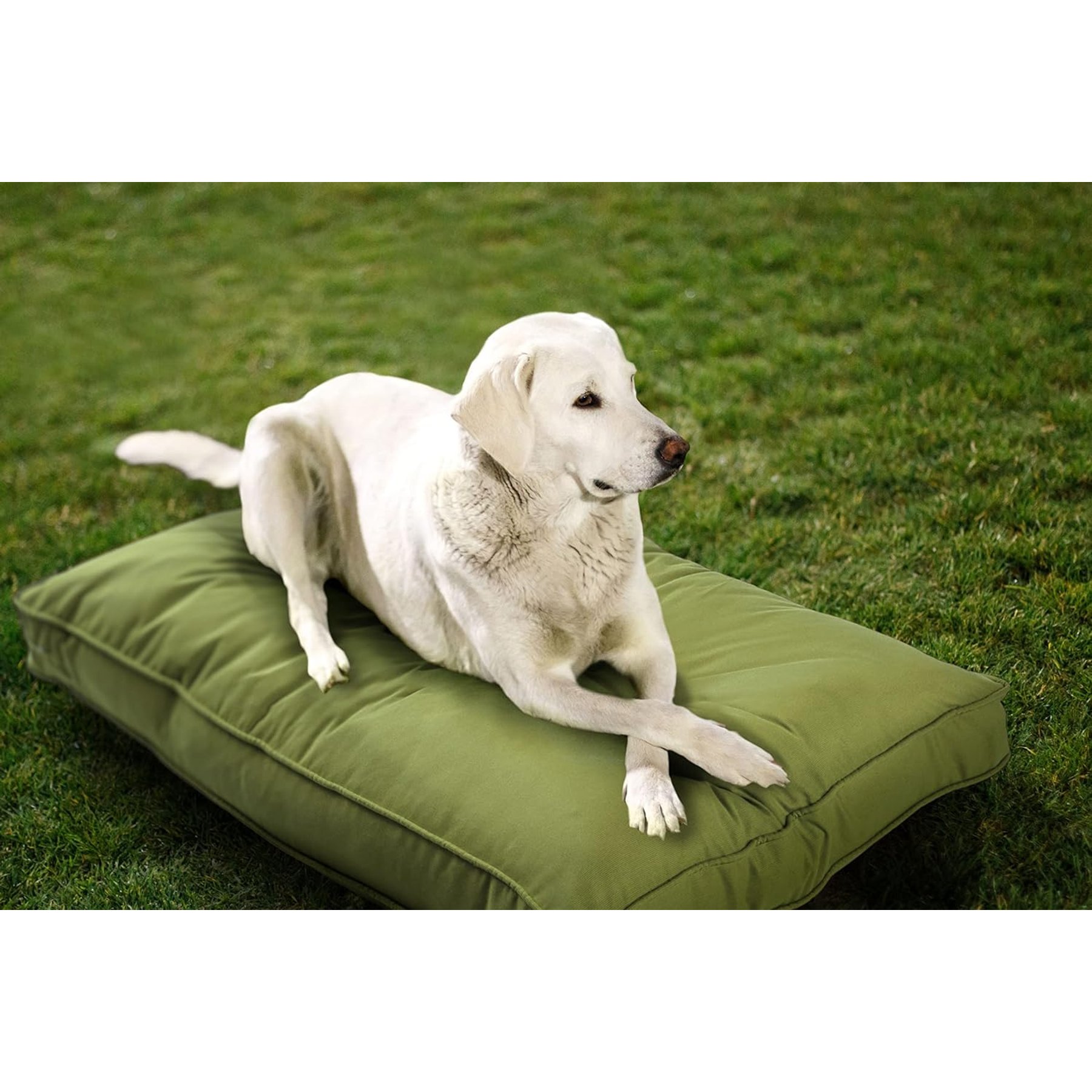 Sherry Kline Pet Collection Mattress Sunbrella Indoor/Outdoor Dog Bed, Kiwi, 20 x 26 x 3-in