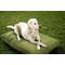 Show in main carousel: Sherry Kline Pet Collection Mattress Sunbrella Indoor/Outdoor Dog Bed, Kiwi, 26 x 36 x 4-in slide 1 of 1