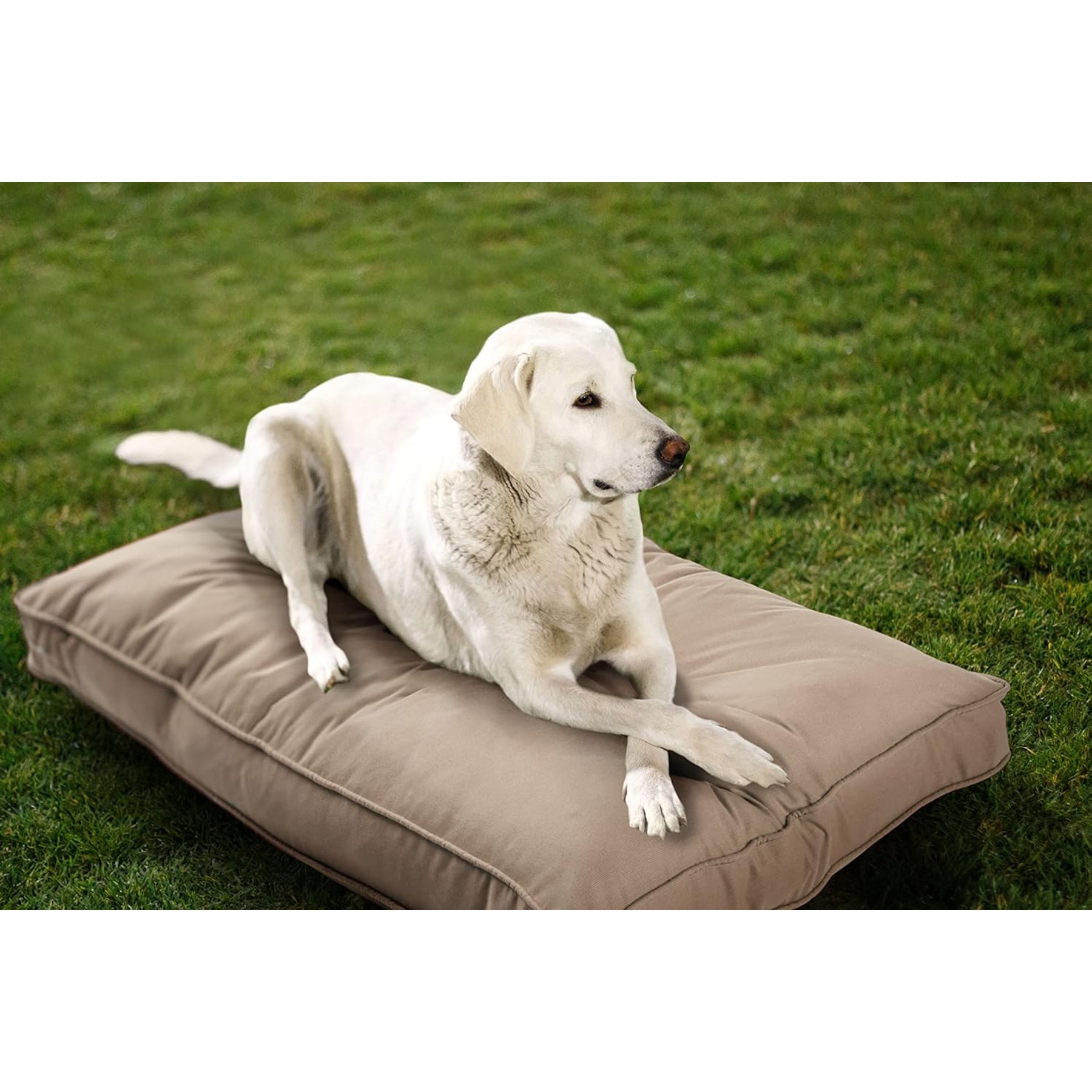 Sherry Kline Pet Collection Mattress Sunbrella Indoor/Outdoor Dog Bed, Sand, 26 x 36 x 4-in