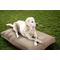 Show in main carousel: Sherry Kline Pet Collection Mattress Sunbrella Indoor/Outdoor Dog Bed, Sand, 20 x 26 x 3-in slide 1 of 1