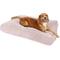 Show in main carousel: Sherry Kline Pet Collection Corduroy Rectangle Dog Bed, Powder Pink, 20 x 26 x 3-in slide 1 of 3