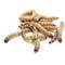 Show in main carousel: Feeder Insects Live Superworm Reptile Food, Large, 250 count slide 1 of 6